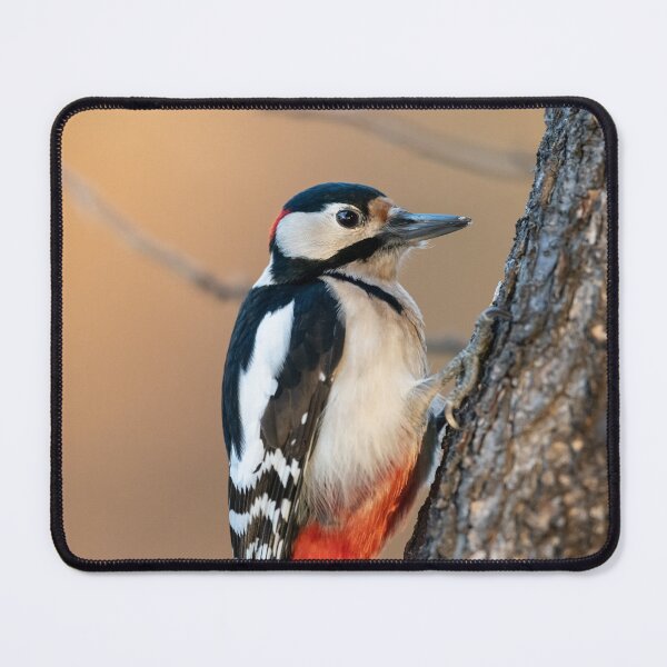 Item preview, A male great spotted woodpecker designed and sold by Stefan Rotter.