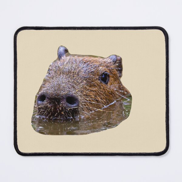 Item preview, Swimming Capybara designed and sold by Dalyndigital Photography.