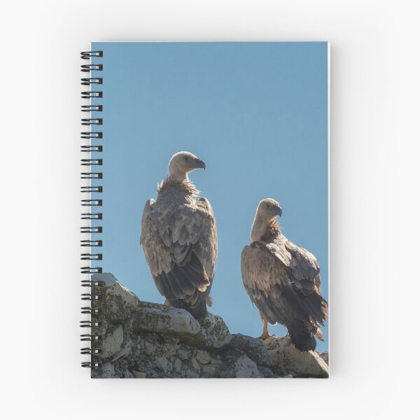 Item preview, Three griffon vultures sitting on an old stone wall designed and sold by Stefan Rotter.