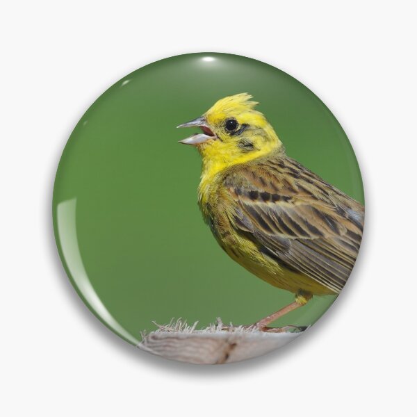 Item preview, Yellowhammer sitting on a post designed and sold by Stefan Rotter.