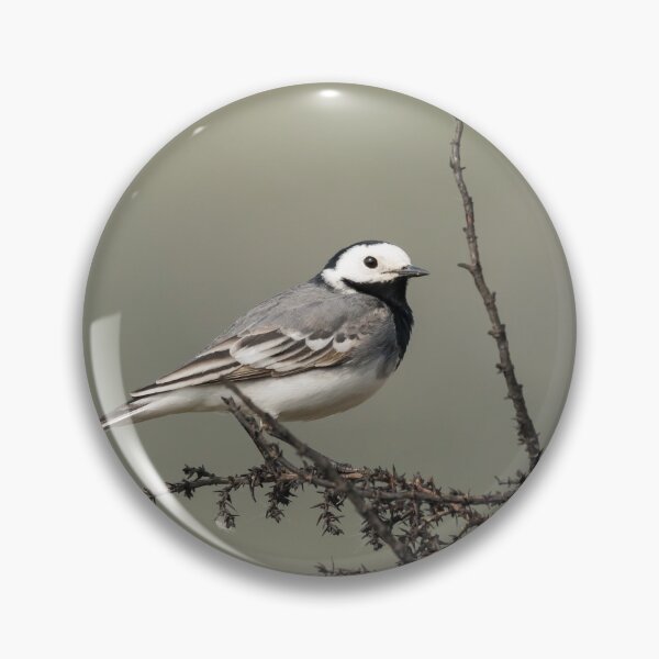 Item preview, A white wagtail sitting on a bush designed and sold by Stefan Rotter.