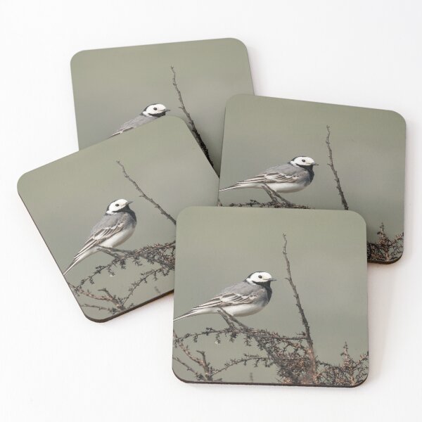 Item preview, A white wagtail sitting on a bush designed and sold by Stefan Rotter.