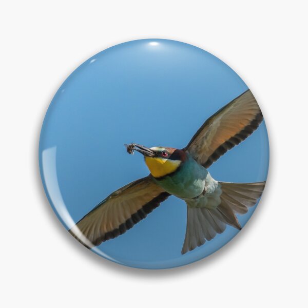 Item preview, A European bee-eater (Merops apiaster) flying designed and sold by Stefan Rotter.
