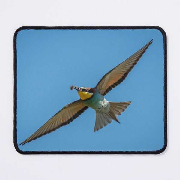 Item preview, A European bee-eater (Merops apiaster) flying designed and sold by Stefan Rotter.