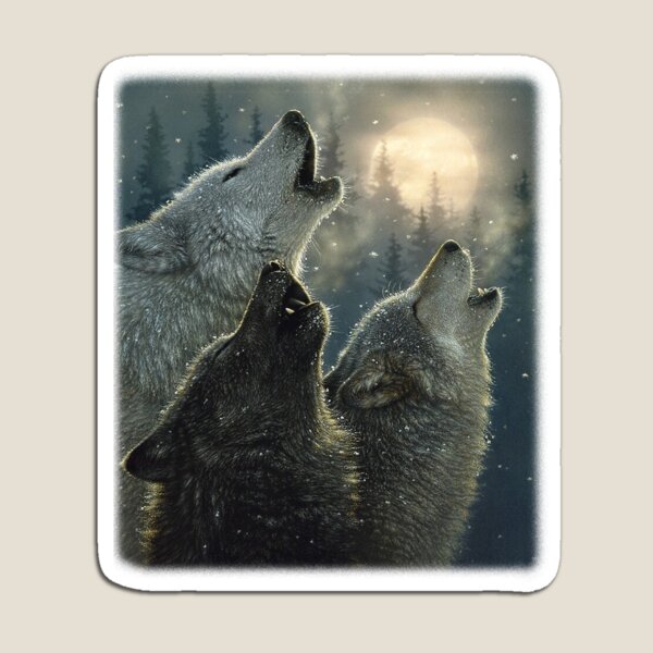 dwight schrute three wolf moon