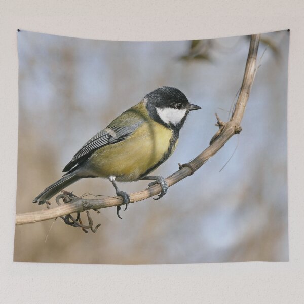 Item preview, r3328/ New finition 2021:  " Les Oiseaux de mon Jardin "   Okaio Créations Olavia-Olao designed and sold by o.okaïo.