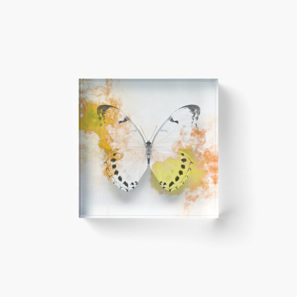 Item preview, White Morpho Butterfly with Ochre Ink designed and sold by AlysonFennell.