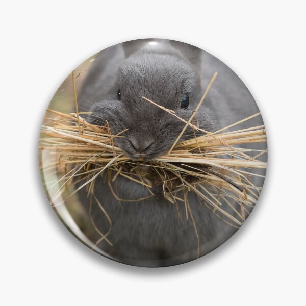 Item preview, A female rabbit collecting material designed and sold by Stefan Rotter.