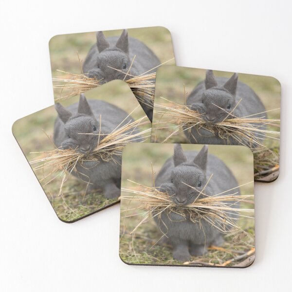 Item preview, A female rabbit collecting material designed and sold by Stefan Rotter.