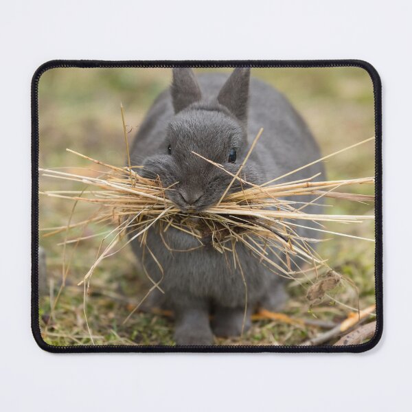 Item preview, A female rabbit collecting material designed and sold by Stefan Rotter.