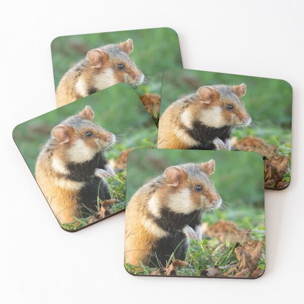 Item preview, A European hamster designed and sold by Stefan Rotter.