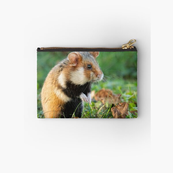 Item preview, A European hamster designed and sold by Stefan Rotter.
