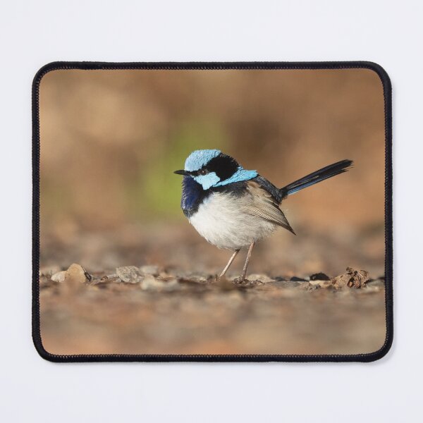 Item preview, Superb Fairywren designed and sold by andrewbensch.