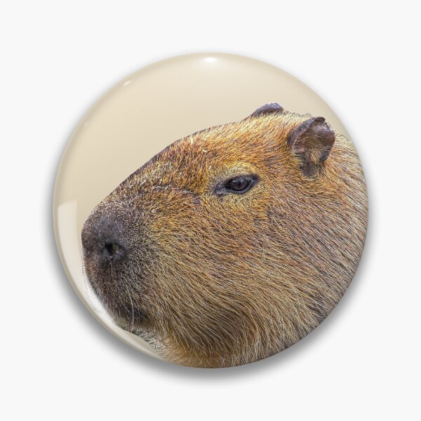 Item preview, Capy Face designed and sold by Dalyndigital Photography.