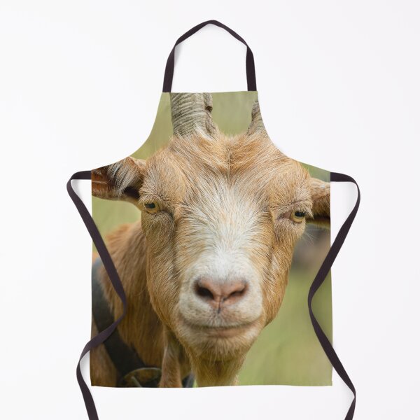 Item preview, Portrait of a beautiful brown goat designed and sold by Stefan Rotter.