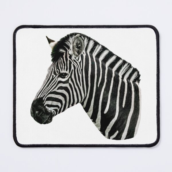 Item preview, chapman’s stripes  designed and sold by Dalyndigital Photography.