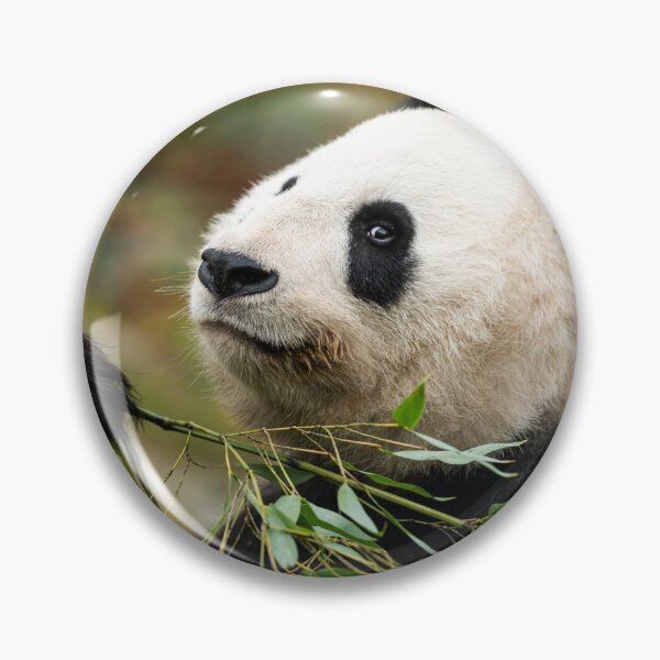 Item preview, A young giant panda designed and sold by Stefan Rotter.