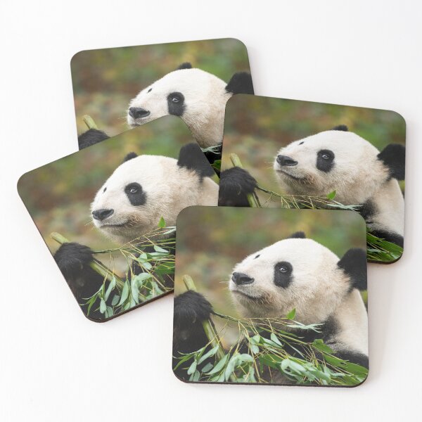 Item preview, A young giant panda designed and sold by Stefan Rotter.