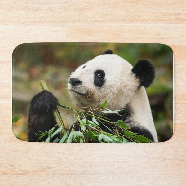 Item preview, A young giant panda designed and sold by Stefan Rotter.