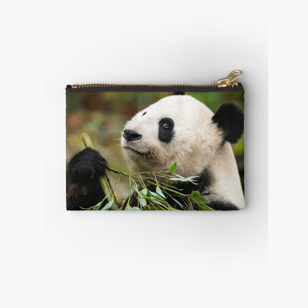 Item preview, A young giant panda designed and sold by Stefan Rotter.