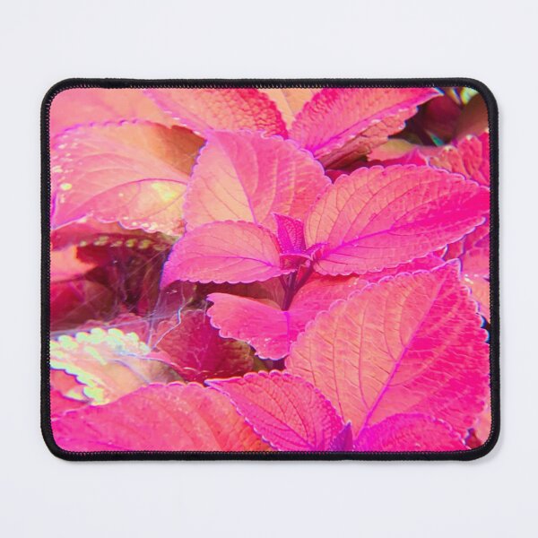 Item preview, Pink Leaves designed and sold by Inkgauged2.