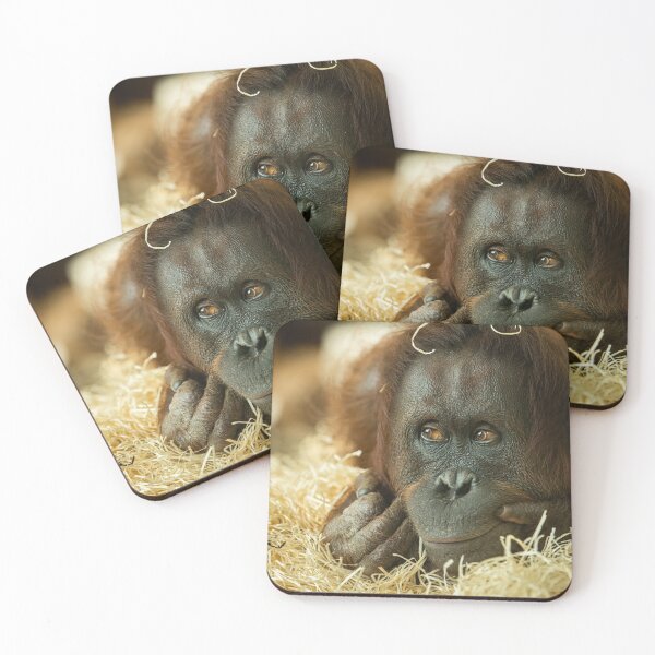 Item preview, A female orangutan lying on a bunch of straw designed and sold by Stefan Rotter.