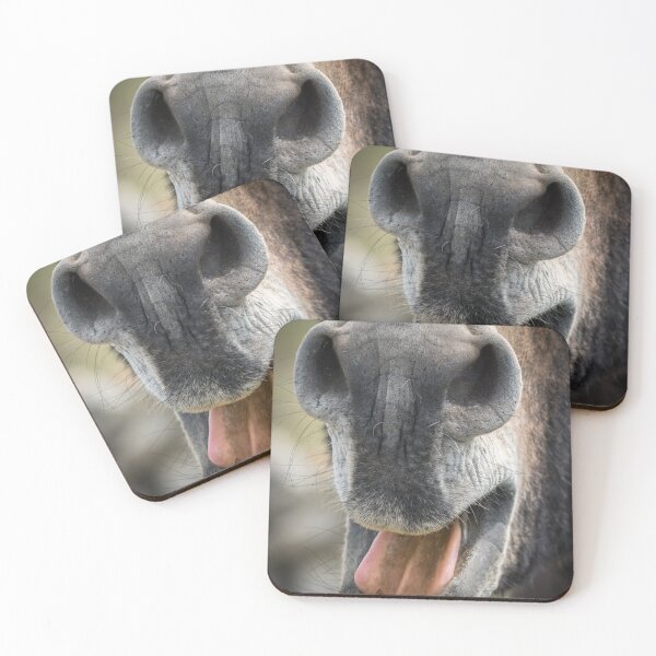 Item preview, Close-up of a donkey's mouth designed and sold by Stefan Rotter.