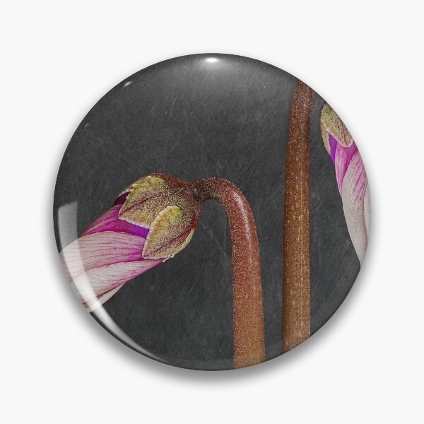 Artikelvorschau, Cyclamen Buds with Grey Background entworfen und verkauft von Tony North.