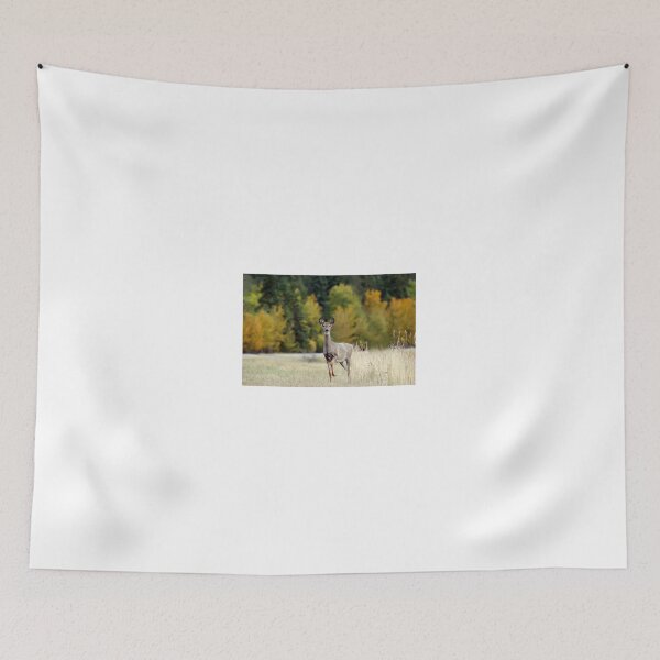 Item preview, Saskatchewan Doe - Deer designed and sold by Lynda   McDonald.