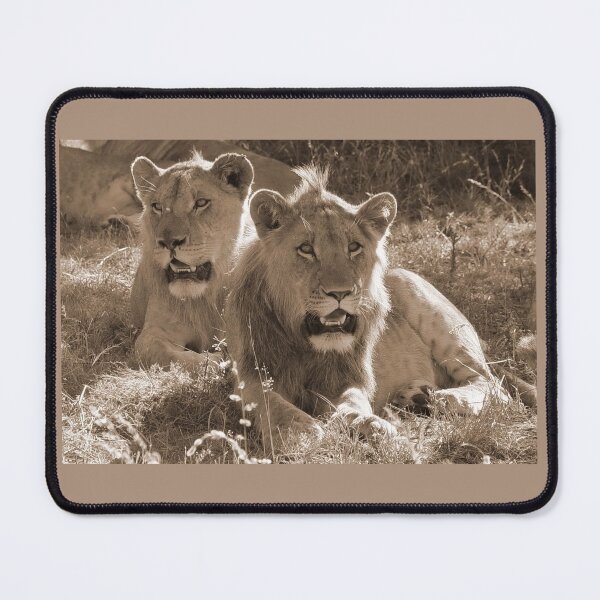 Item preview, 2 Lion Friends designed and sold by thula.