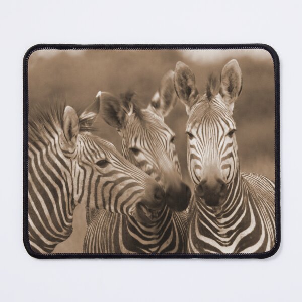 Item preview, big friends designed and sold by thula.
