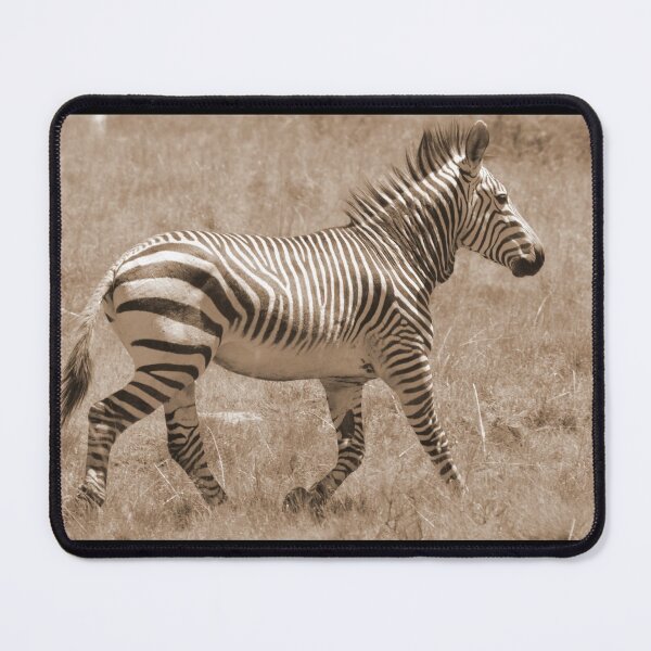 Item preview, mountain zebra on the run designed and sold by thula.