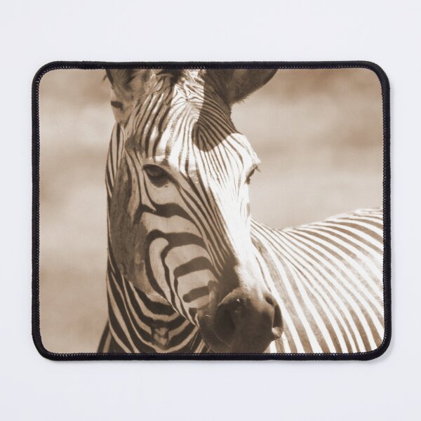 Item preview, mountain zebra designed and sold by thula.