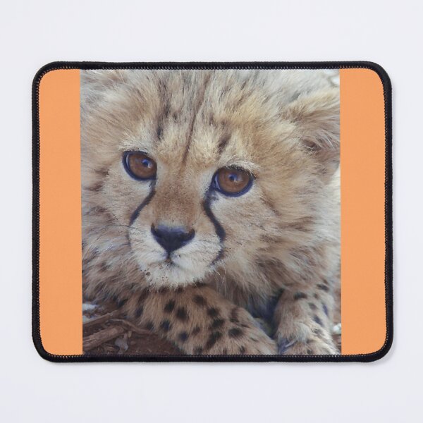Item preview, young cheetah designed and sold by thula.