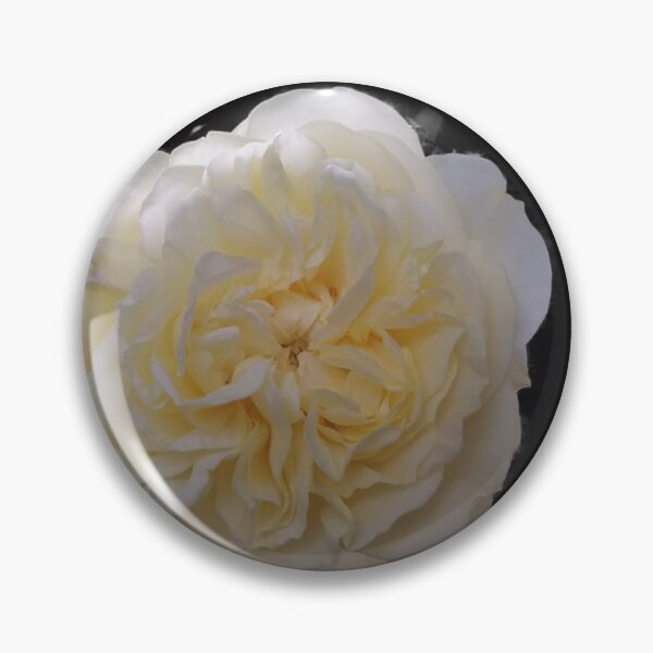Item preview, Rose, flower, blossom designed and sold by Sternchen2789.
