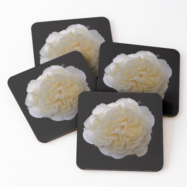 Item preview, Rose, flower, blossom designed and sold by Sternchen2789.