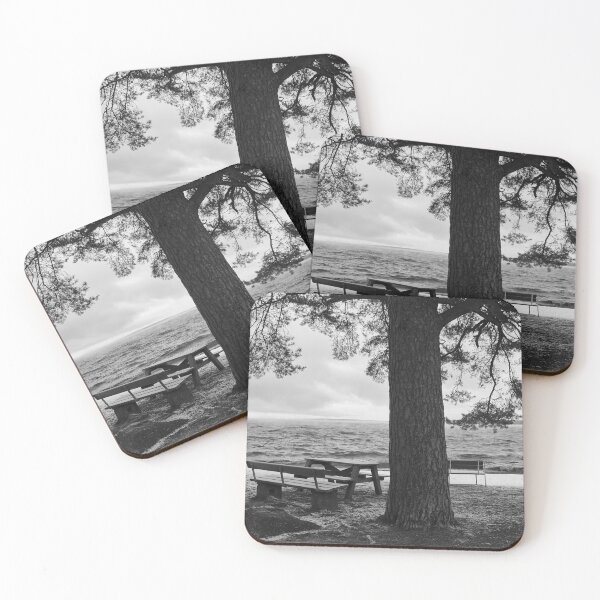 Item preview, Vientos de invierno en Nasijarvi bw designed and sold by Jouko Lehto Photography.