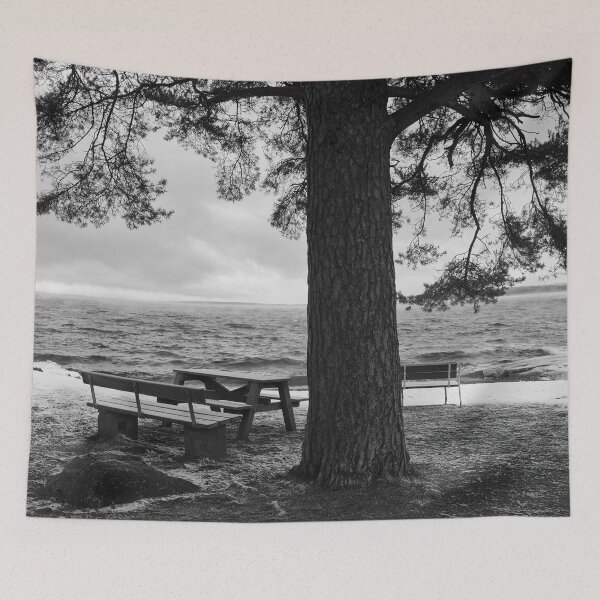Item preview, Vientos de invierno en Nasijarvi bw designed and sold by Jouko Lehto Photography.