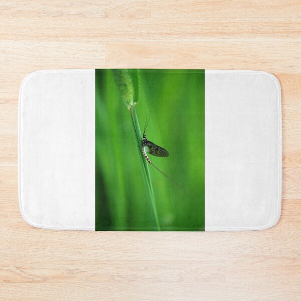 Item preview, Mayfly - Contemporary Fine Art Photography designed and sold by B-O-L-D-Y.
