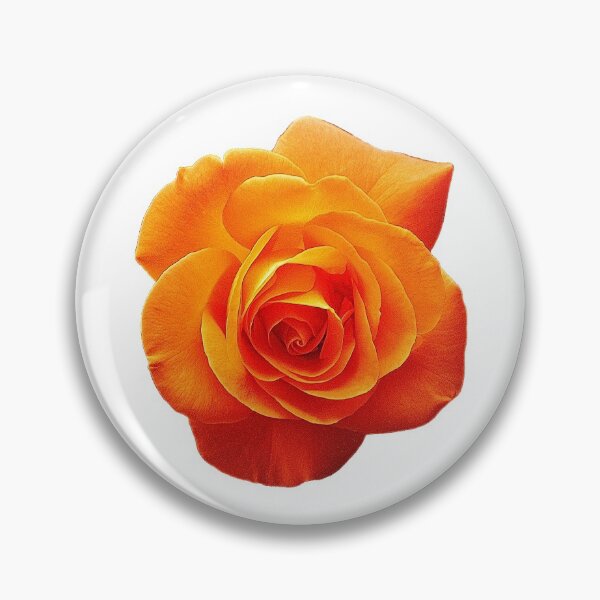 Item preview, Vivid Orange Rose designed and sold by Amberjays.