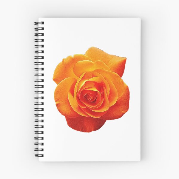 Item preview, Vivid Orange Rose designed and sold by Amberjays.