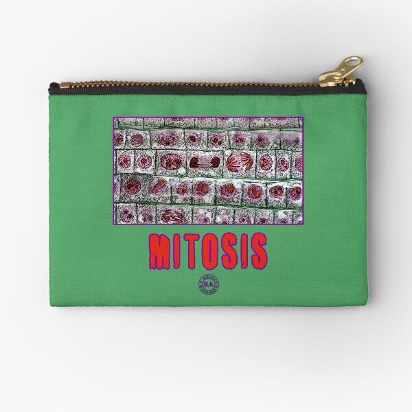 Item preview, Mitosis designed and sold by BIOLEGS ANONIMS.