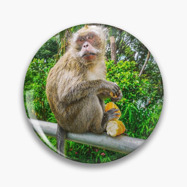 Item preview, The hungry monkey designed and sold by Danny-Art-Place.