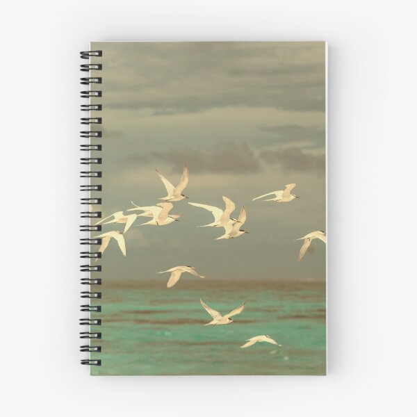 Item preview, Fly designed and sold by ImageEvolution.