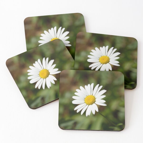 Item preview, White Daisy on a Sunny Day designed and sold by hijackhippo.