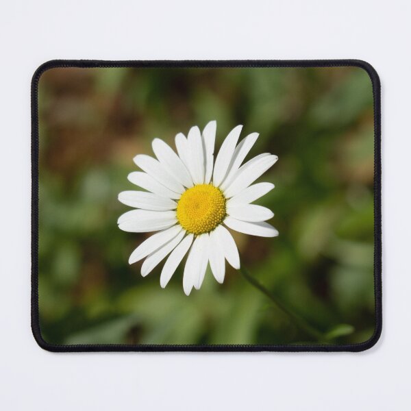 Item preview, White Daisy on a Sunny Day designed and sold by hijackhippo.