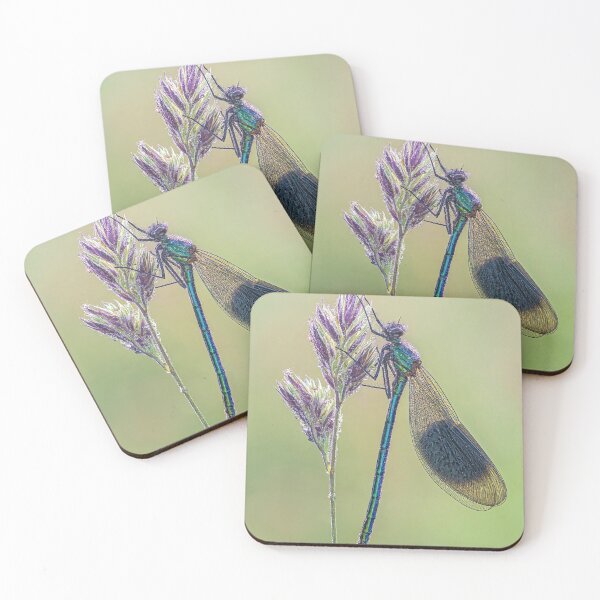 Item preview, Banded Demoiselle on a Grass Stalk designed and sold by Tony North.