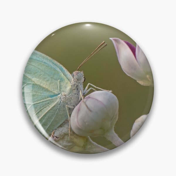 Artikelvorschau, Mottled Emigrant Butterfly on a Flower entworfen und verkauft von Tony North.