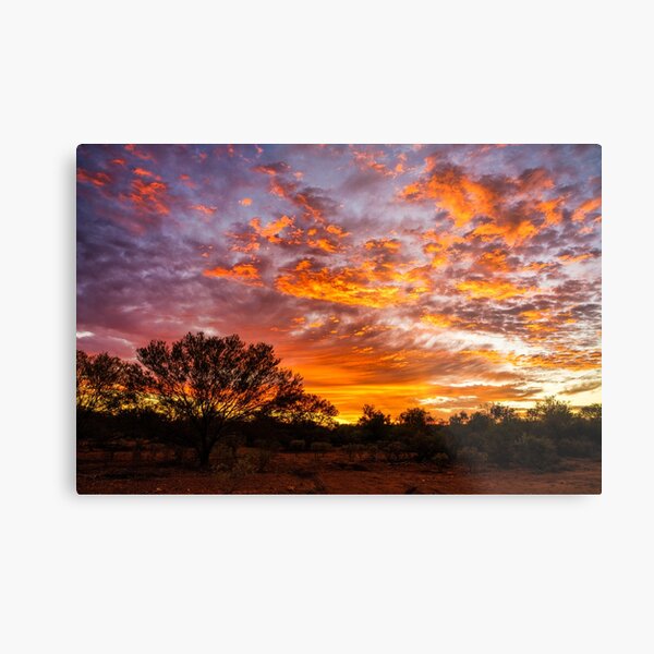 Sunrise In The Desert Metal Print