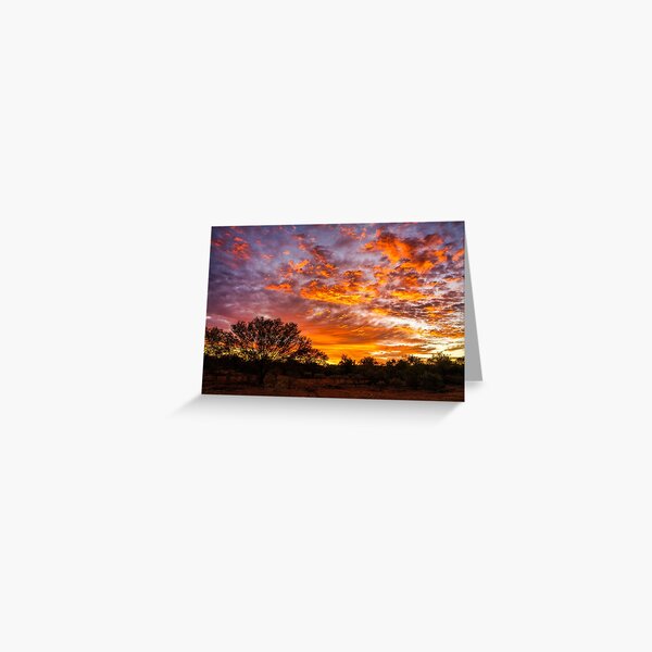 Sunrise In The Desert Greeting Card